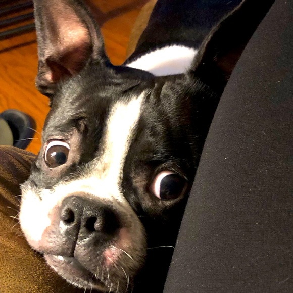 LIVE SHOW NOTIFICATION!!! Let’s get some steals and deals!! - Picture 2 of 2